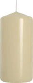 Świece - Bispol Świeca walec 20H 10CM SW50/100 KREMOWA BISPOL1209 - miniaturka - grafika 1