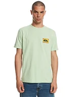 Koszulki męskie - Quiksilver Color Flow SS Koszulka męska (zestaw 1) - miniaturka - grafika 1
