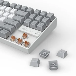3inuS 87-Key 5-in-1 Mechanical Keyboard Hub Dual USB-C Cable Hot-Swappable - Blue Switches - Klawiatury - miniaturka - grafika 20