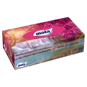 Inne artykuły czyszczące - Metsa Tissue Chusteczki kosmetyczne Mola 2 warstwowe (120 sztuk) - miniaturka - grafika 1