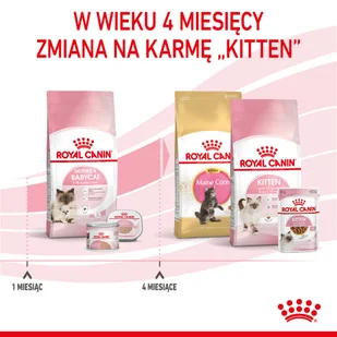 ROYAL CANIN  Mother&Babycat 2kg + niespodzianka dla kota GRATIS! - Sucha karma dla kotów - miniaturka - grafika 7