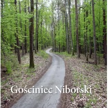 Gościniec Niborski - Przewodniki - miniaturka - grafika 1