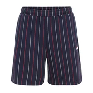 Spodnie sportowe męskie - Spodenki męskie FILA Lobito Pinstriped - miniaturka - grafika 1