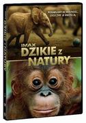 Filmy dokumentalne DVD - GALAPAGOS Dzikie z natury DVD) David Lickley - miniaturka - grafika 1