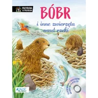Pozostałe książki - Bóbr i inne zwierzęta znad rzeki - miniaturka - grafika 1