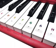 Akcesoria do instrumentów klawiszowych - Naklejki na keyboard na klawisze NKHKL kolorowe/AKORD - miniaturka - grafika 1