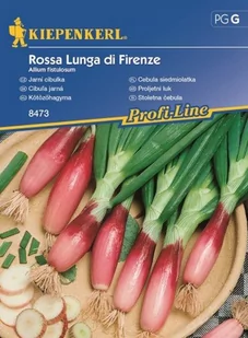 Kiepenkerl Cebula siedmiolatka Rossa Lunga di Firenze 102034 - Nasiona i cebule - miniaturka - grafika 1