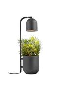 Lampy stojące - Kaspa : lampa stojąca BOTANICA 40844104 - miniaturka - grafika 1