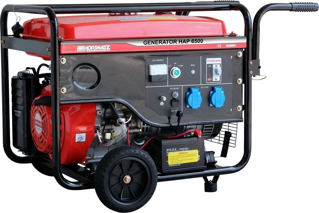 Hortmasz HAP6500A z rozrusznikiem elektrycznym