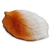 Tace i patery - SZKLANA PATERA DEKORACYJNA LIŚĆ 35X24 POMARAŃCZOWA - miniaturka - grafika 1