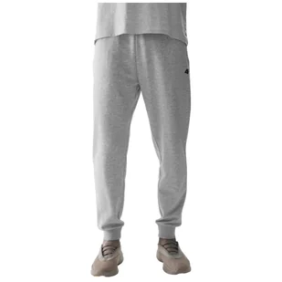 Męskie spodnie dresowe 4F Trousers Cas M603 Rozmiar: XL / Kolor: jasnoszary - Spodnie sportowe męskie - miniaturka - grafika 1