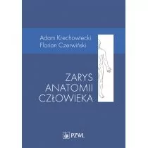 Wydawnictwo Lekarskie PZWL Zarys anatomii człowieka Adam Krechowiecki