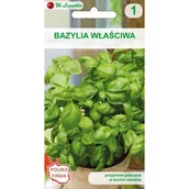 Nasiona i cebule - Bazylia właściwa zielonolistna VII-IX W.Legutko - miniaturka - grafika 1