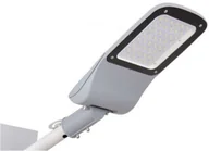 Lampy ogrodowe - BLAUPUNKT Lampa uliczna LU98NW IP65 szara LED Blaupunkt - miniaturka - grafika 1