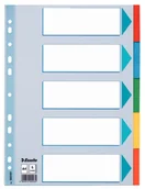 Przekładki do segregatorów - Esselte PRZEKŁADKI KARTONOWE KOLOROWE A4 5 KART - miniaturka - grafika 1