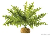 Akcesoria do terrarium - Exo-Terra Boston Fern - roślina sztuczna do terrarium - miniaturka - grafika 1