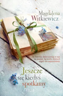 Jeszcze się kiedyś spotkamy - Literatura obyczajowa - miniaturka - grafika 3