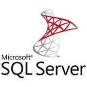 Oprogramowanie serwerowe - Microsoft SQL Server 2019 Standard 48 Core Unlimited Users - miniaturka - grafika 1