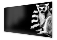 Dekoracje domu - Panel kuchenny HOMEPRINT Lemur na czarnym tle 125x50 cm - miniaturka - grafika 1