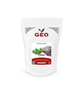 Gryka - nasiona na kiełki GEO, certyfikowane, DUŻE OPAKOWANIE, 500g, Bavicchi (ZGS0109) - Zdrowa żywność - miniaturka - grafika 1