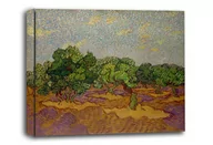 Obrazy i zdjęcia na płótnie - Olive Trees, Vincent van Gogh - obraz na płótnie Wymiar do wyboru: 70x50 cm - miniaturka - grafika 1