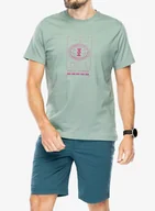Koszulki i topy damskie - Koszulka z nadrukiem Helly Hansen Core Graphic T-Shirt - cactus - miniaturka - grafika 1