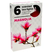 Świece - Podgrzewacz zapachowy magnolia 6 szt. - miniaturka - grafika 1