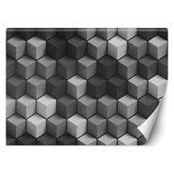 Fototapety - Fototapeta, Abstrakcyjne sześciany 3D (Rozmiar 450x315) - miniaturka - grafika 1