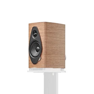 Sonus faber SONETTO I G2 kolumna głośnikowa  (orzech) - Głośniki i kolumny - miniaturka - grafika 1