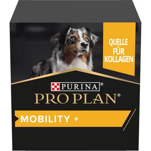 PRO PLAN Dog Adult & Senior Mobility+, suplement w proszku - 60 g - Suplementy i witaminy dla psów - miniaturka - grafika 1