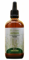 Suplementy naturalne - Lymeherbs, Cryptolepis nalewka 1:2, 100ml - miniaturka - grafika 1