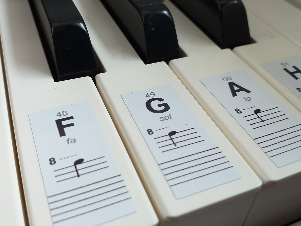NAKLEJKI NUTY NA KLAWISZE DO NAUKI GRANIA PIANINO KEYBOARD FORTEPIAN