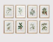 Plakaty - Zestaw 8 Plakatów Botanicznych A4 - miniaturka - grafika 1