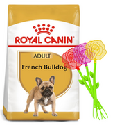 Sucha karma dla psów - Royal Canin French Bulldog Adult 1,5 kg - miniaturka - grafika 1