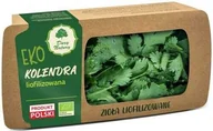 Przyprawy i zioła sypkie - Lumarko Kolendra Liofilizowana Bezglutenowa Bio 5 G! - miniaturka - grafika 1