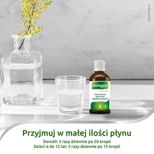 Bayer Iberogast płyn doustny 100 ml - Układ pokarmowy - miniaturka - grafika 2