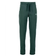 Spodnie sportowe męskie - Spodnie Alpha Industries Organics EMB Jogger 118365671 - zielone - miniaturka - grafika 1
