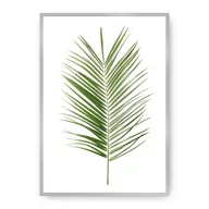 Plakaty - Dekoria Dekoria Plakat Palm Leaf Green 21 x 30 cm Ramka Srebrna 218B-000-06 - miniaturka - grafika 1