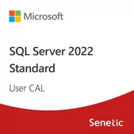 Programy biurowe - SQL Server 2022 - 1 User CAL - miniaturka - grafika 1