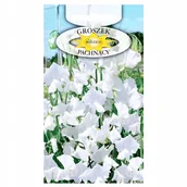 Nasiona i cebule - GROSZEK PACHNĄCY BIAŁY ŚLICZNE KWIATY NASIONA - miniaturka - grafika 1