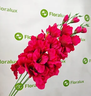 Mieczyk Do Wazonu 12 Szt Kwiat Sztuczny Wyrobowy 70 cm Bukiet Stroik - Sztuczne kwiaty - miniaturka - grafika 1