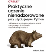 Książki o programowaniu - Praktyczne uczenie nienadzorowane przy użyciu języka Python - miniaturka - grafika 1