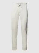 Spodnie sportowe męskie - Spodnie dresowe z elastycznym pasem model ‘ATHLETIC’ - miniaturka - grafika 1