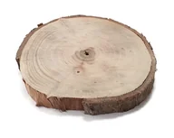 Dekoracje domu - Plaster drewna Orzech włoski szlifowany 14-17 cm / 2 cm  z ubytkami kory - miniaturka - grafika 1