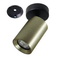 Lampy sufitowe - Metalowa lampa natynkowa Tore TLS006-GLD Zumaline spot tuba złoty - miniaturka - grafika 1