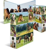 Segregatory - Segregator Herma HERMA Ordner A4 Pferdewiese - miniaturka - grafika 1