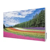 Ogrzewanie przenośne - TERMOFOL Grzejnik na podczerwień z grafiką Łąka Kwietna TF-SWT1000P - miniaturka - grafika 1