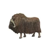 Collecta Piżmowół arktyczny - Figurki dla dzieci - miniaturka - grafika 1