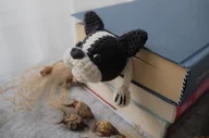 Zakładki do książek - Zakładka do Książki BULDOG - miniaturka - grafika 1