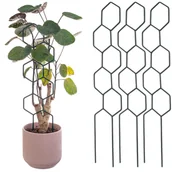 Pozostałe akcesoria do uprawy roślin - Podpora doniczkowa Fora heksagon drabinka 3szt - miniaturka - grafika 1